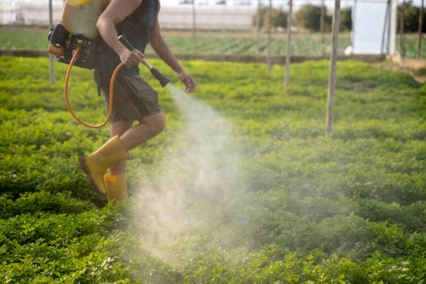 Best Pest Control for Businesses  in Leadville North, CO